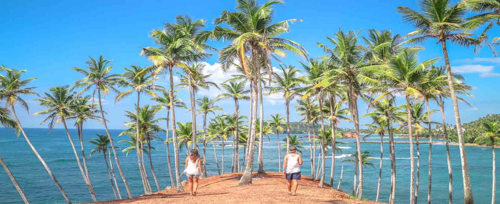 mirissa-coconut-tree-hill