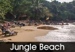 jungle beach