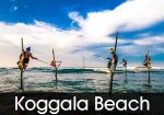 koggala beach
