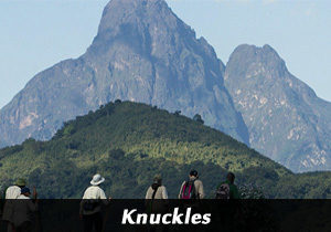Knuckles
