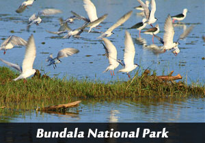 bundala