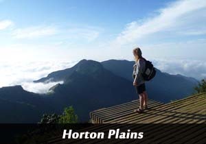 hortan plains