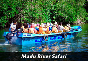 madu