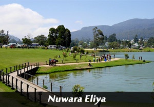 nuwara eliya