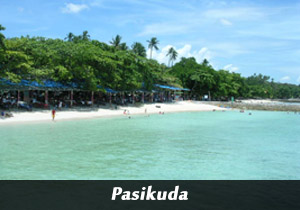 pasikudha