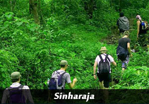 sinharaja