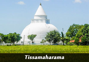 tissa